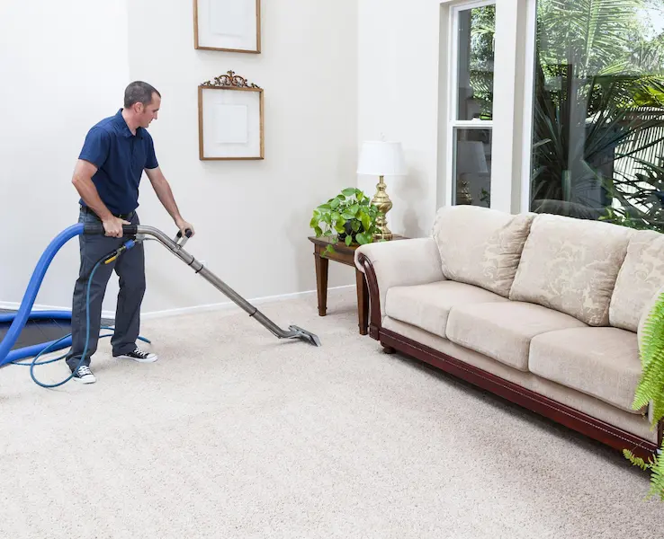 Professional Carpet and Floor Cleaning
