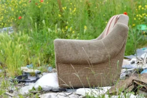 Council Charge to Remove a Sofa